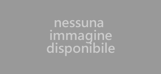 Masterclass di Violino